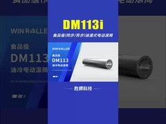 DM113 식품용 식품 가공 산업용 기름에 잠긴 드럼 모터